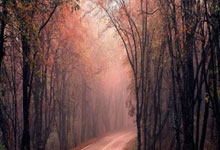 菲爾特足球俱樂部介紹.