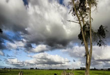 澳大利亞隊邊鋒古德溫:我們已經準備好迎戰印尼!.