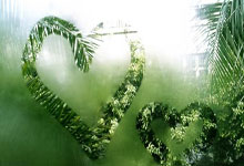 [亚冬会]越野滑雪女子5公里（自由技术）决赛.