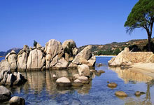 明升体育：[亚冬会]短道速滑开赛 中国选手顺利晋级.